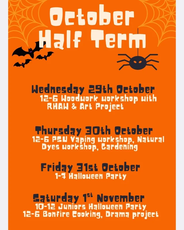 Here's what we have going on at Dr Mz this Half Term. 🦇 🎃