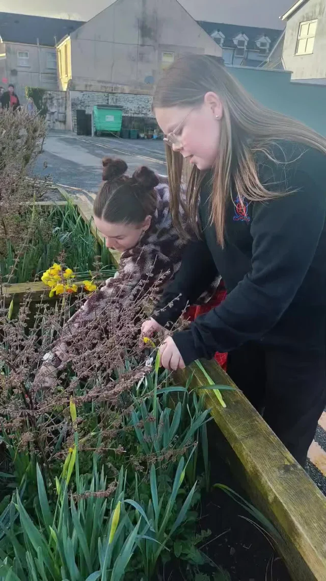 Loads of volunteering at Dr Mz tonight. Young people picked bunches of daffodils from our beds and left them for people to pick up to brighten their day. Young people also helped to make food and sow seeds for the garden. We finished the evening off with a pool tournament. 
The National Lottery Community Fund 
#awardsforalllotteryfund